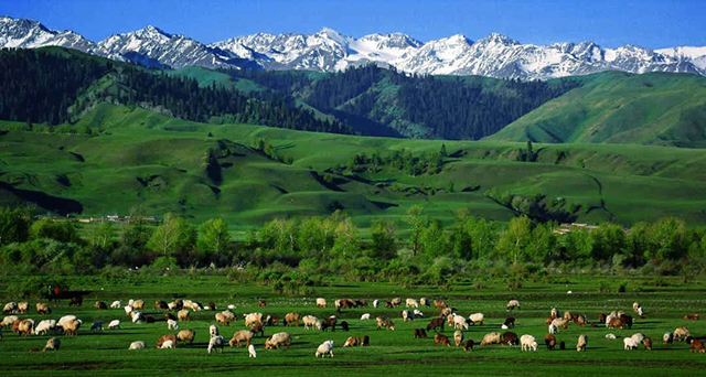 第六屆草原民族服飾與現(xiàn)代時裝定制技術(shù)研討會