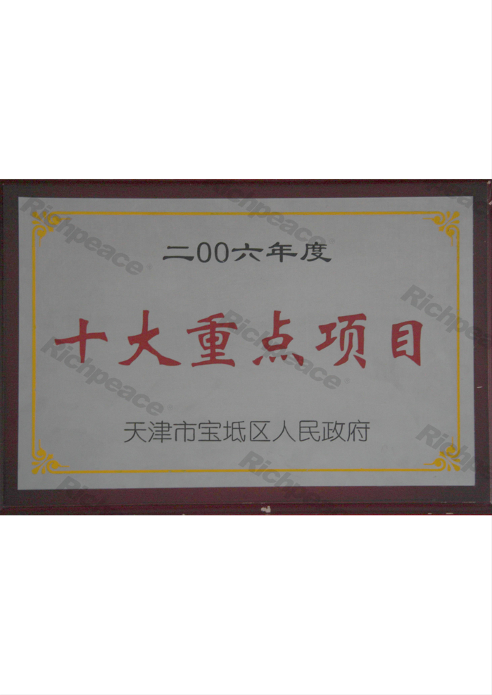 天津?qū)氎媸笾攸c項目